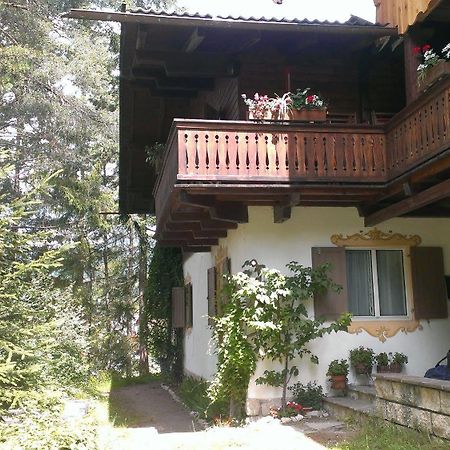 B&B Villa Dolomites Hut Сан-Виджилио-ди-Мареббе Экстерьер фото