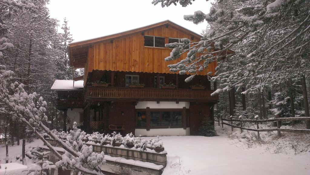 B&B Villa Dolomites Hut Сан-Виджилио-ди-Мареббе Экстерьер фото